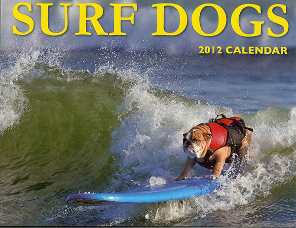 DOG PUPPY SURF SWIM WATER