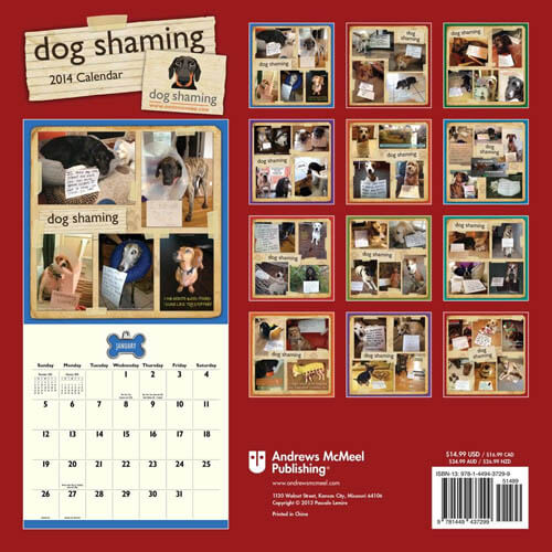 DOG CALENDARS 2020 √ DOGICA® Outstanding Exciting Collection Here! Home