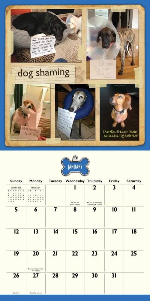 DOG CALENDARS 2020 √ DOGICA® Outstanding Exciting Collection Here! Home