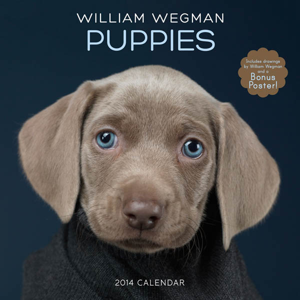 DOG and PUPPY CALENDARS 2015, 2016, 2017, 2018, 2019, 2020