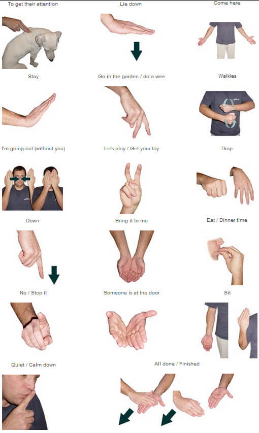 basic hand signals dog obedience service dogs