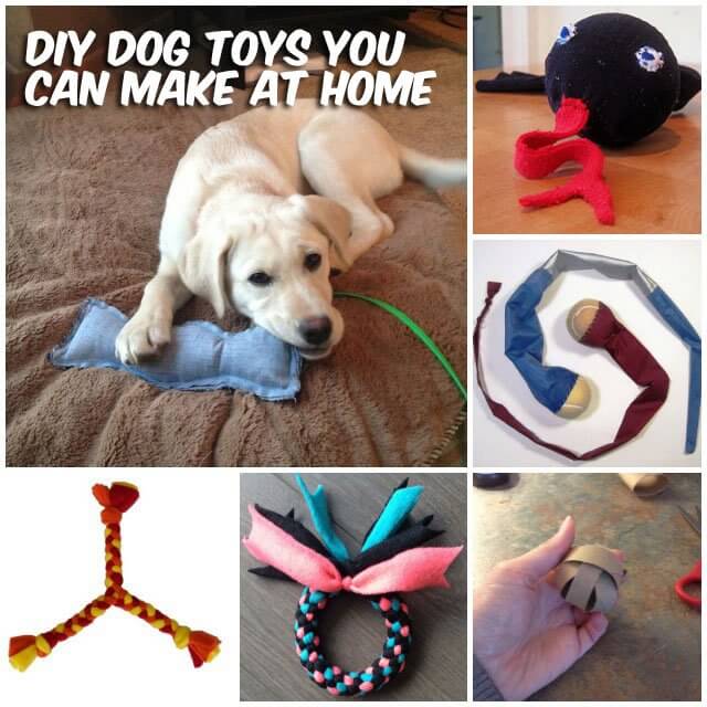 dog and puppy toy