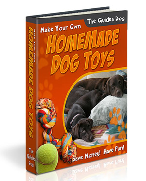 Buy dog and puppy toys book