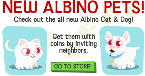 ALBINISM IN DOGS vs ALBINISM IN CATS
