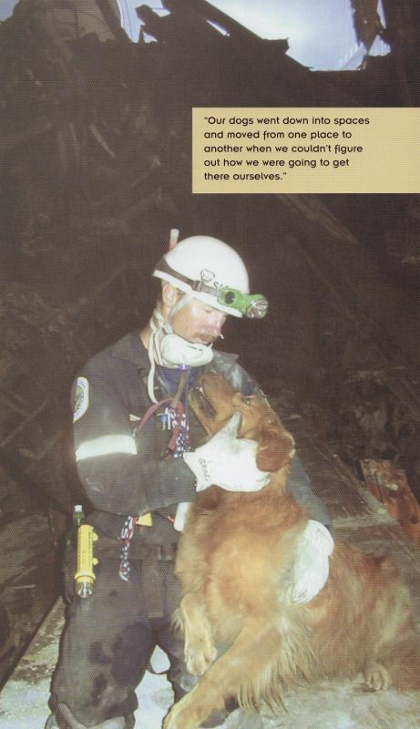 DUSTY - this photo (c) by Dog Heroes of September 11th. Kennel Club Books