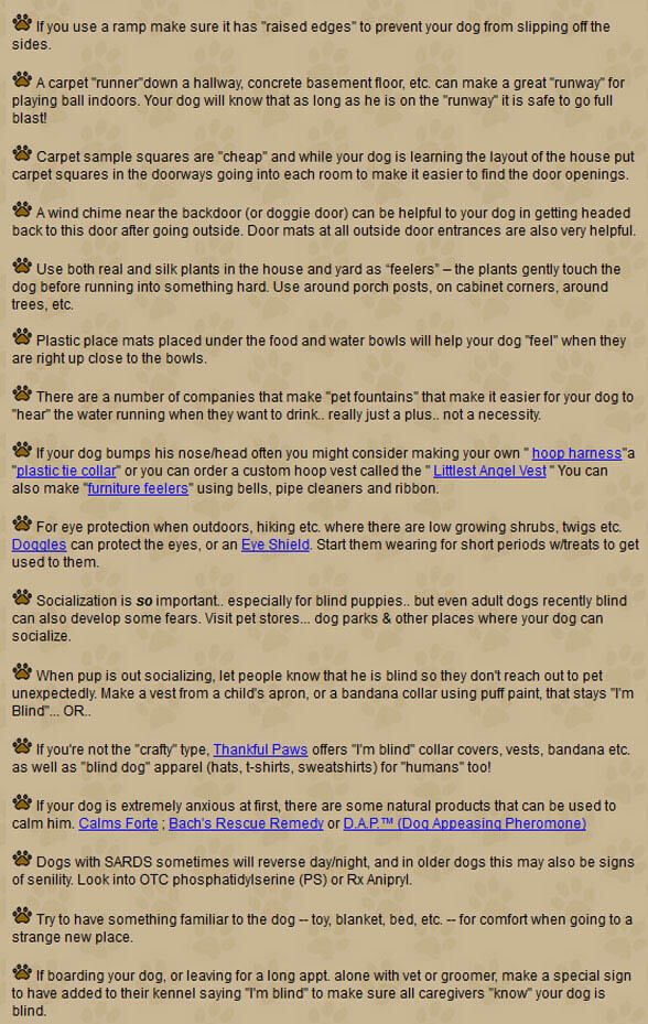 BLIND DOG TIPS by WWW.BLINDDOGS.NET