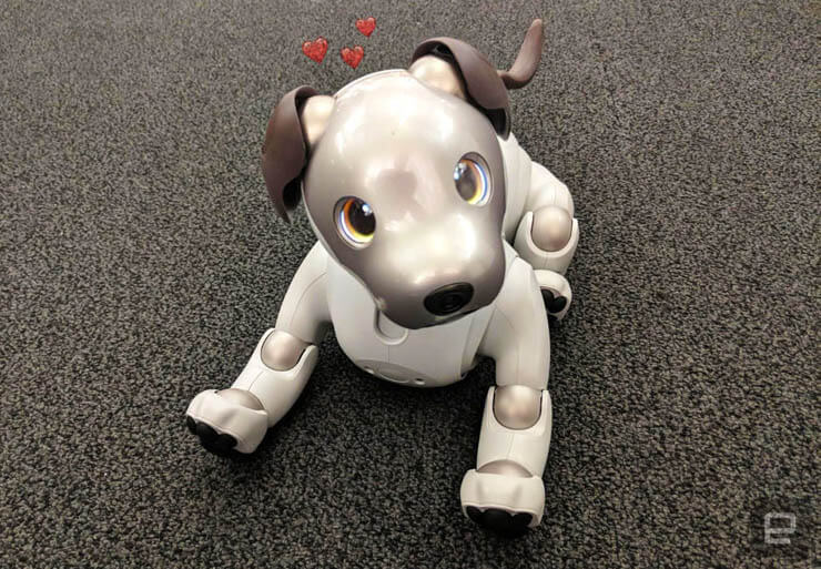 Robot Dogs List Shockingly Futuristic Interactive Intelligent Dog Robots Functionality Specifications Features Dogica