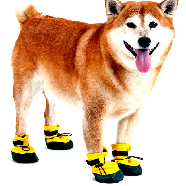 MUTTLUKS Dog Shoes and Boots