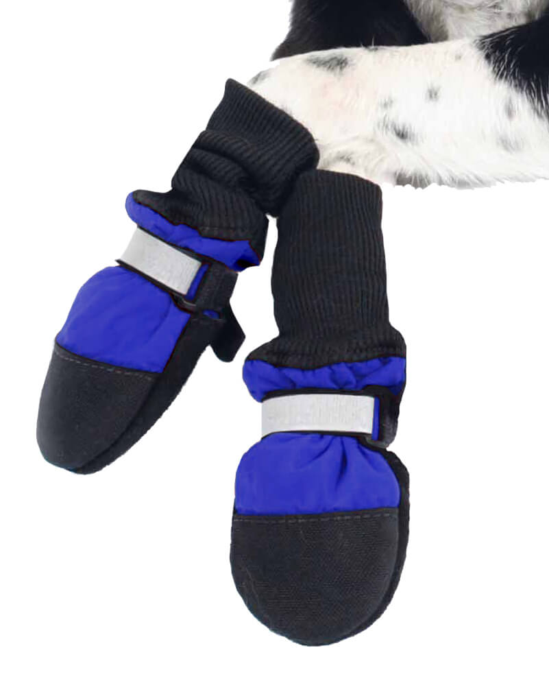 Dog Shoes and Boots