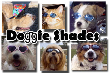 Dog Glasses - Doggles