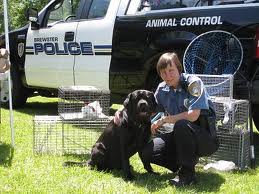 DOG POLICE, K9, MEDICINE AND LAW CAREERS and WORK