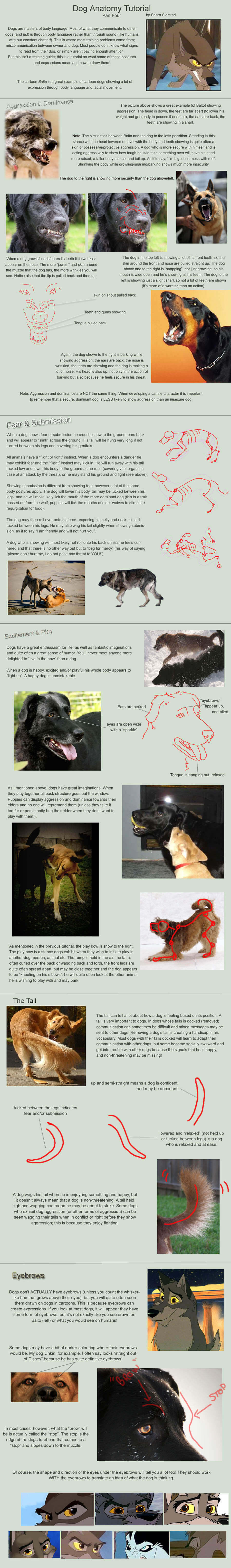 DOG ANATOMY TUTORIAL - PRESS TO SEE IN FULL SIZE !!!