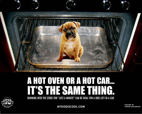 WARNING!!! CAR IS AN OVEN! OVERHEATED DOGS, TIPS, INFORMATION