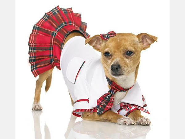 DOG APPAREL DRESS CLOTHES