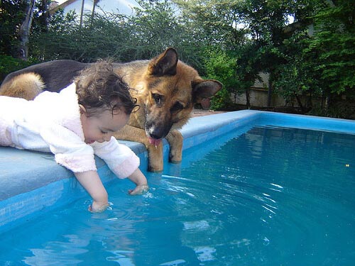 HOW TO CLEAN DOG POOL