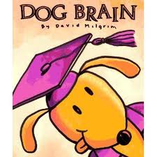 dog brain vs human brain