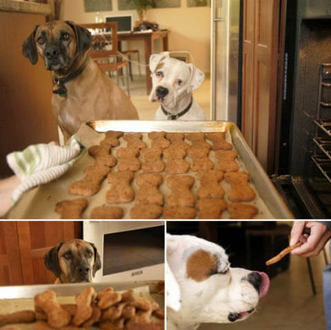 Dog Food Recipes by WWW.PETDIG.COM