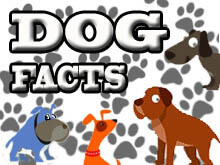 Dog Facts, Quotes, Stories, Stereotypes & Legends