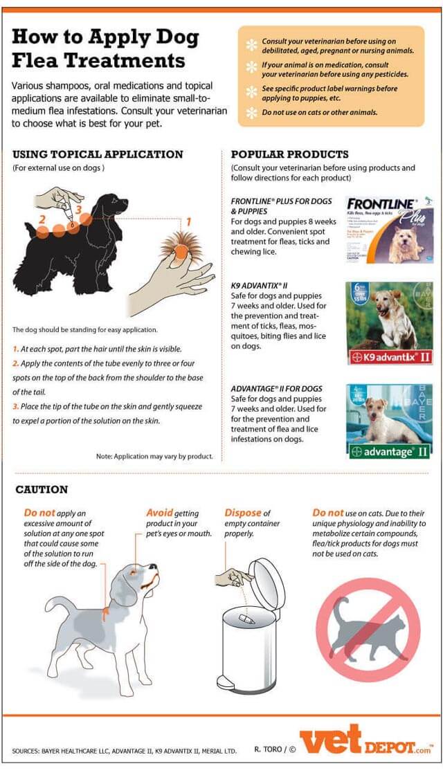 Dog Fleas, Mites and Ticks - HOW THE REMEDIES TREATMENTS WORKS?