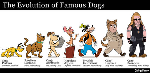 MODERN THEORY OF DOG EVOLUTION