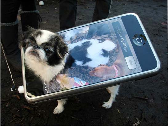 Dog and Puppy Cellular & Mobile Applications for Android, Iphone, LG, Samsung, Nokia - Image (c) by Mario Terra (GettyImages)
