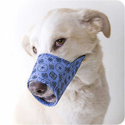 muzzle for small dogs