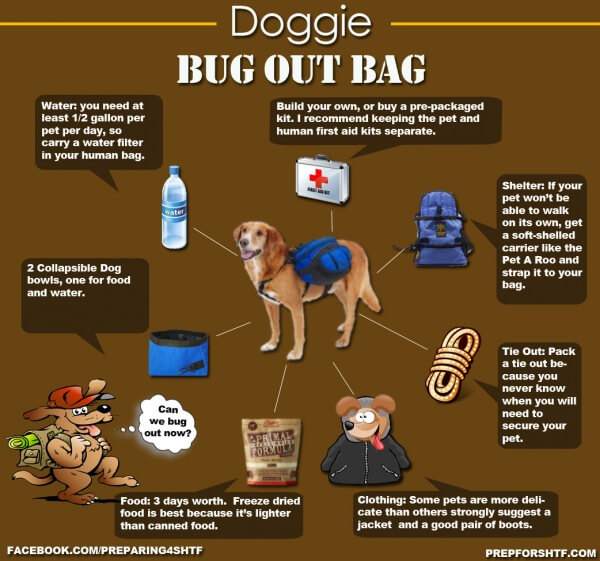 DOG HIKING - GUIDE, MANUAL, INSTRUCTIONS