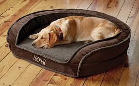 DOG AND PUPPY BEDS