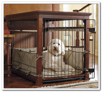 WHAT TO PUT IN DOG & PUPPY CRATE