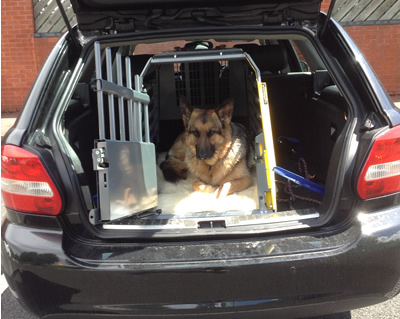 car kennels for large dogs