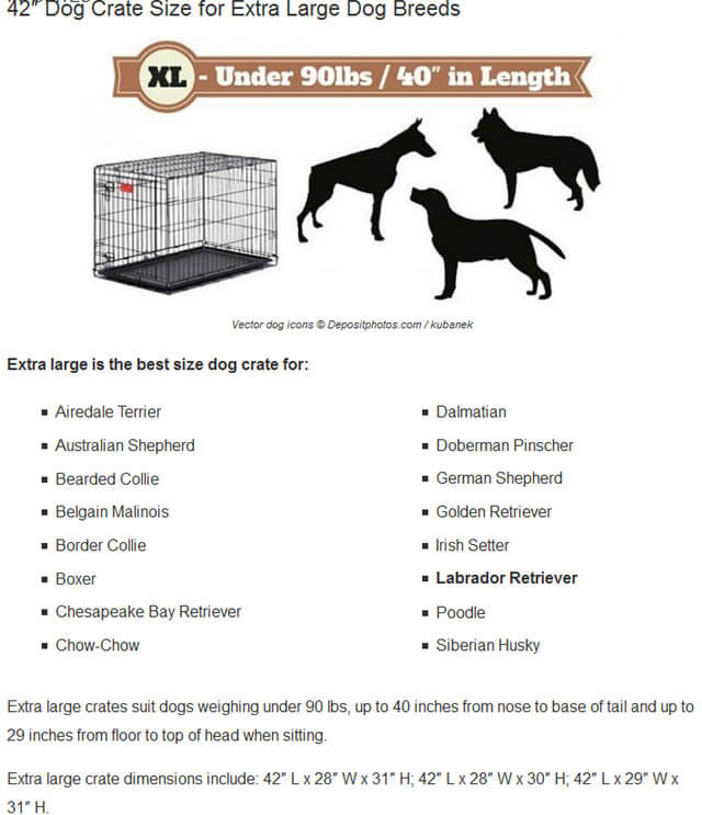 THESE MEASURE CHARTS (c) by LABRADORTRAININGHQ.COM !!!