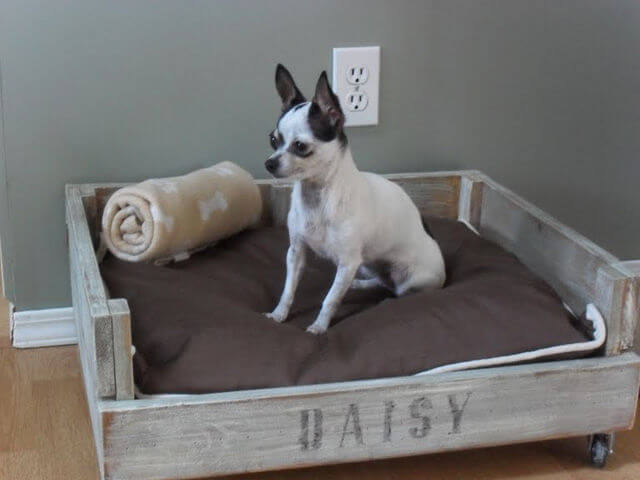 INDESTRUCTABLE DOG & PUPPY BEDS COUCHES AND SOFAS