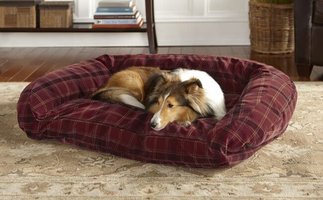 MODERN LUXURY CUSTOM COMFORTABLE DOG AND PUPPY BEDS and COUCHES, SOFAS & FURNITURE FOR DOGS