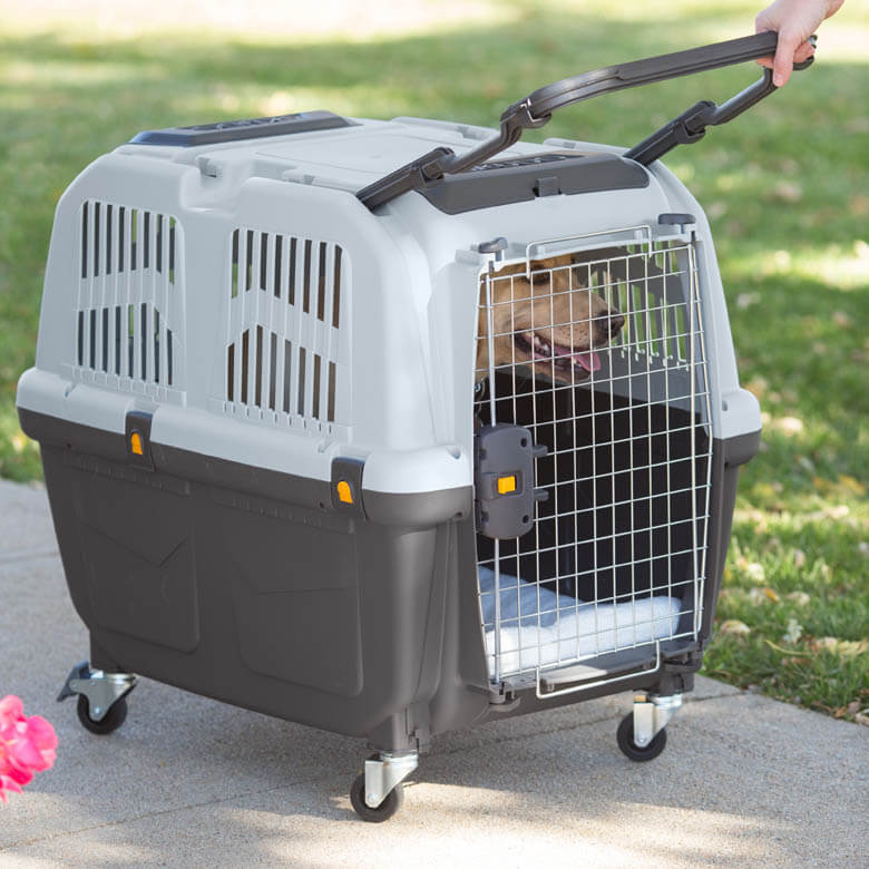 WHERE TO PUT DOG & PUPPY CRATE IN HOME