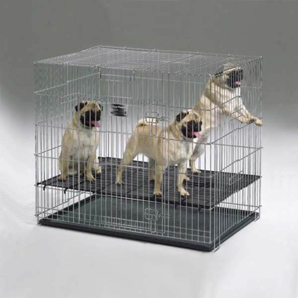 TEACH YOUR DOG & PUPPY TO LOVE THE CRATE