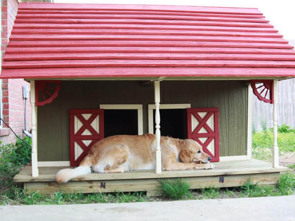 Greta and Gypsy's Barn - CREATIVE DESIGNER DOG & PUPPY HOUSES, KENNELS