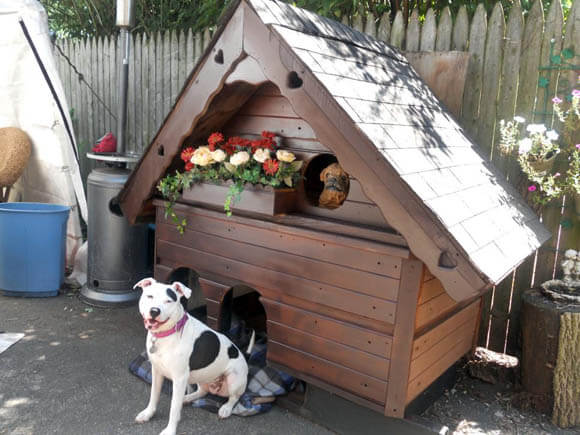 Hot Tub House - CREATIVE DESIGNER DOG & PUPPY HOUSES, KENNELS