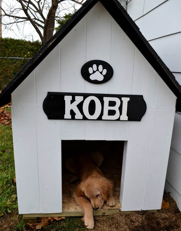 Simple DIY Doghouse - BEST OUTDOOR DOG & PUPPY HOUSES, KENNELS, CAGES, CRATES, IGLOOS, HOMEMADE AND DIY DOGHOUSES