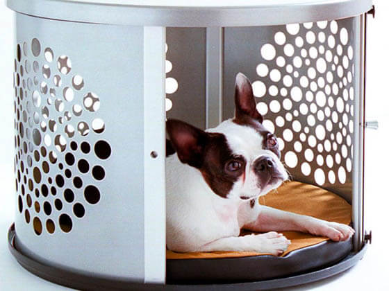 Product and Photo by DenHaus, Inc. - CREATIVE DESIGNER DOG & PUPPY HOUSES, KENNELS
