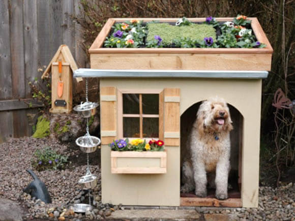 Rooftop Garden - CREATIVE DESIGNER DOG & PUPPY HOUSES, KENNELS