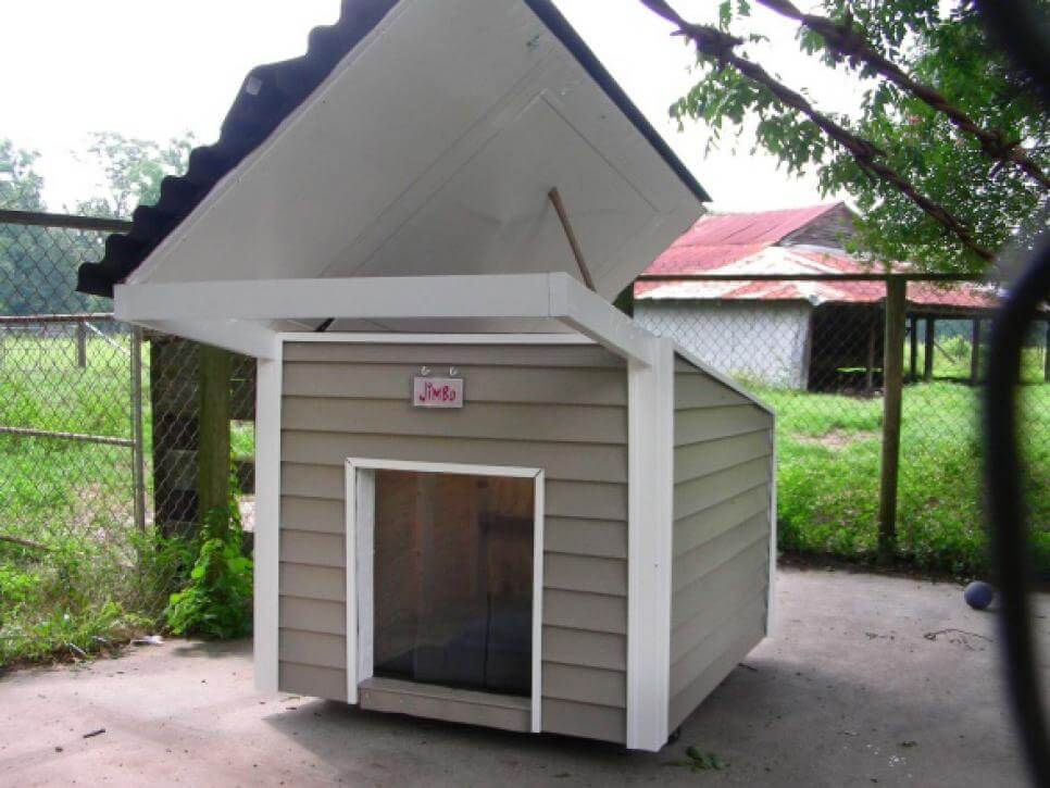 Outfitted For All Weather - CREATIVE DESIGNER DOG & PUPPY HOUSES, KENNELS
