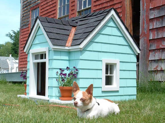 Curb Appeal - CREATIVE DESIGNER DOG & PUPPY HOUSES, KENNELS