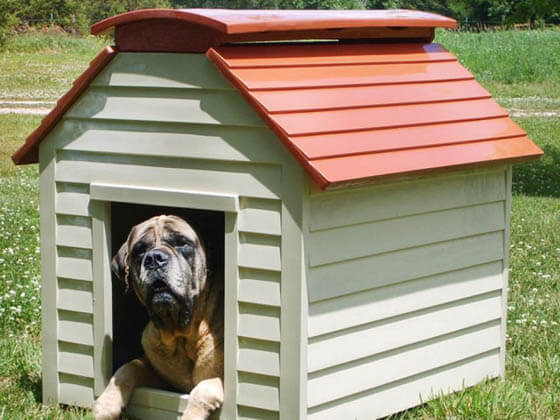 Product and Photo by New Age Pet - CREATIVE DESIGNER DOG & PUPPY HOUSES, KENNELS