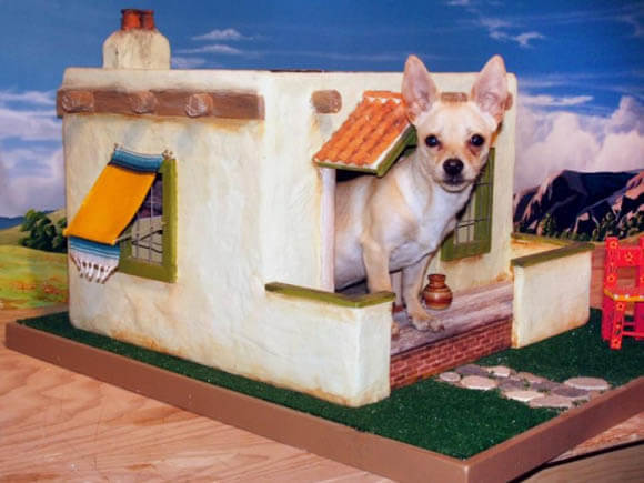 Chihuahua's Pueblo - CREATIVE DESIGNER DOG & PUPPY HOUSES, KENNELS
