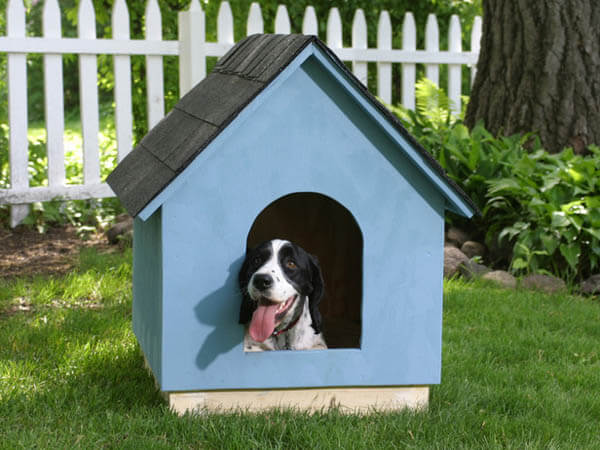 Blue Outdoor Doghouse- BEST OUTDOOR DOG & PUPPY HOUSES, KENNELS, CAGES, CRATES, IGLOOS, HOMEMADE AND DIY DOGHOUSES