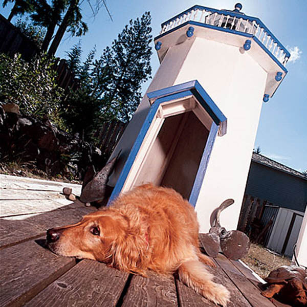 Church Ground Doghouse - BEST OUTDOOR DOG & PUPPY HOUSES, KENNELS, CAGES, CRATES, IGLOOS, HOMEMADE AND DIY DOGHOUSES