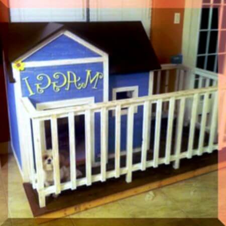 HOW TO TRAIN YOUR DOG & PUPPY TO LOVE DOGHOUSE & KENNEL