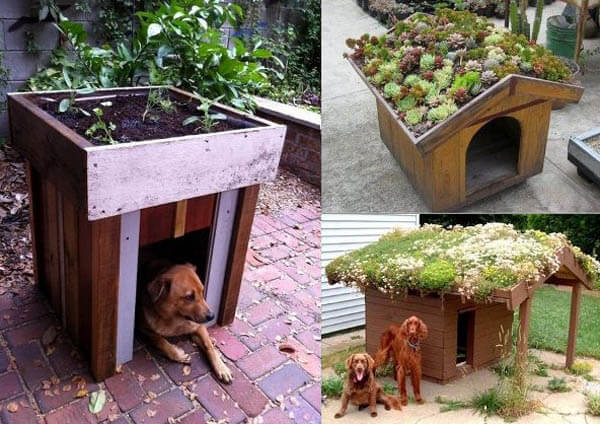 Garden Outdoor Doghouse - BEST OUTDOOR DOG & PUPPY HOUSES, KENNELS, CAGES, CRATES, IGLOOS, HOMEMADE AND DIY DOGHOUSES