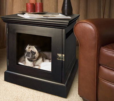 TEACH YOUR DOG & PUPPY TO LOVE THE CRATE