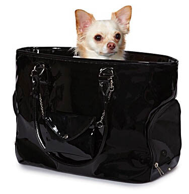 BEST DESIGNER PUPPY and DOG CARRIERS, PURSES, BACKPACKS, BAGS.. FASION DOG CARRIERS
